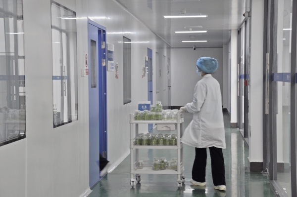 _DSC0043_¸±±¾ _DSC0043_¸±±¾.jpg