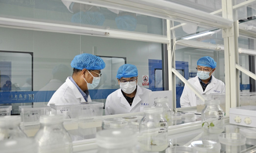 Ｏϯѧһе7790طżţ̺ʱ